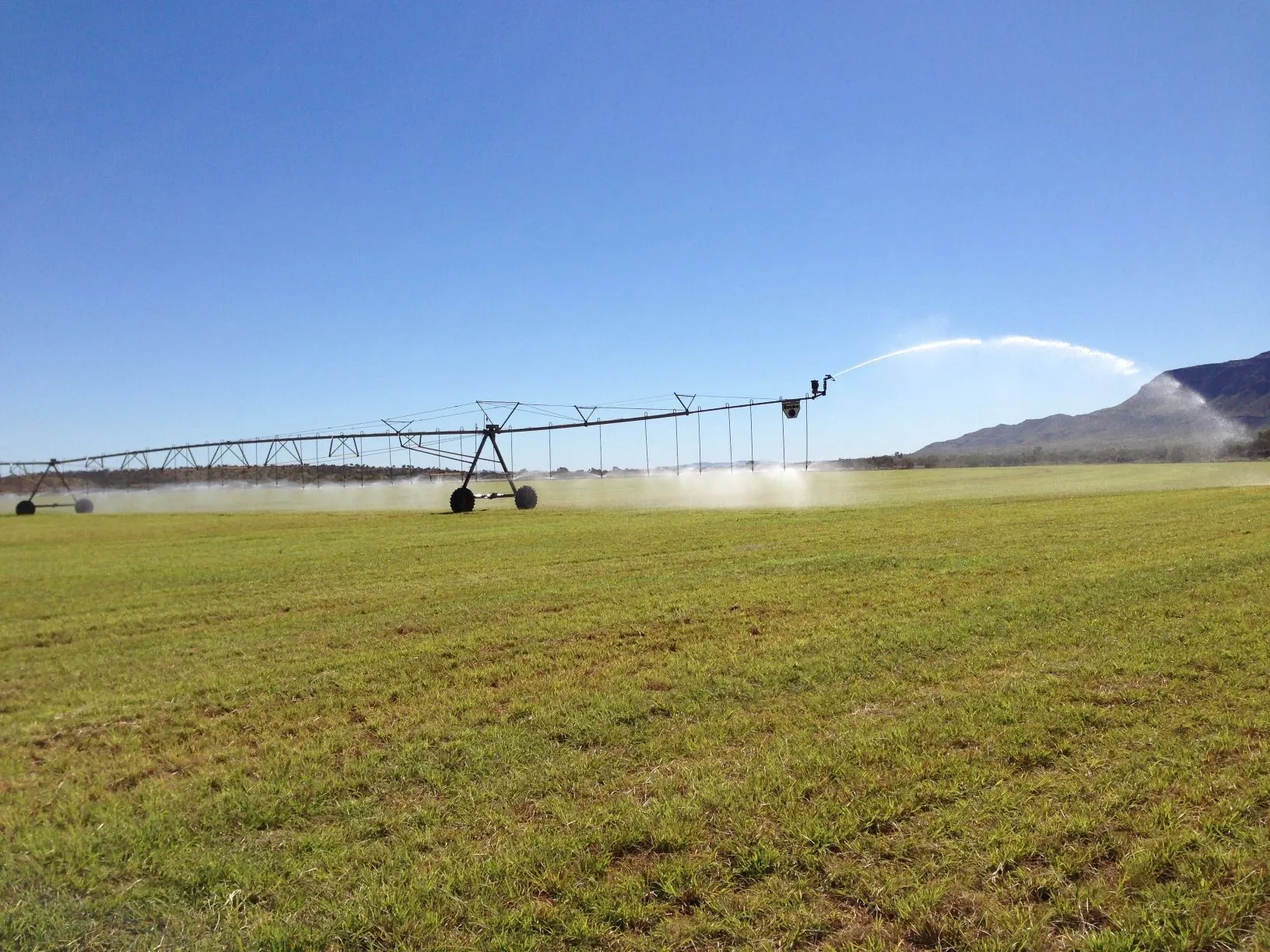 Center pivot irrigation system in a green paddock, Western Australia